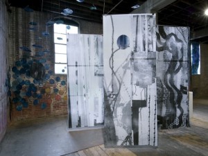 MFA show at the Soap Factory