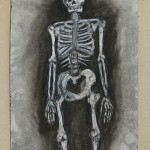 Charcoal: Skeleton Study